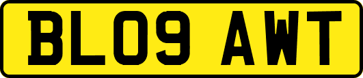 BL09AWT