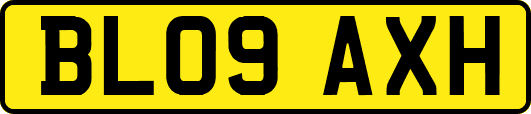 BL09AXH