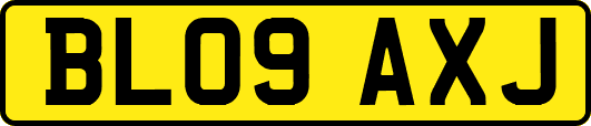 BL09AXJ
