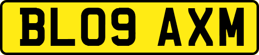 BL09AXM