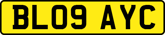 BL09AYC