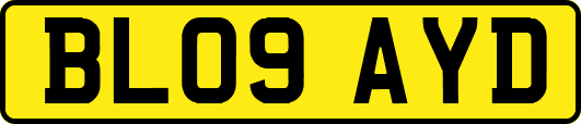 BL09AYD