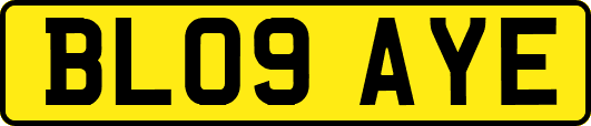 BL09AYE