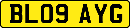 BL09AYG