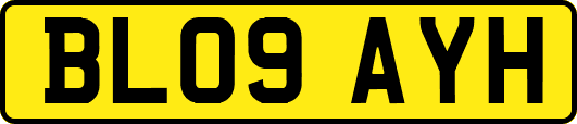 BL09AYH