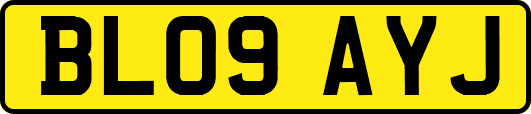 BL09AYJ