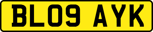 BL09AYK