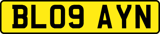 BL09AYN