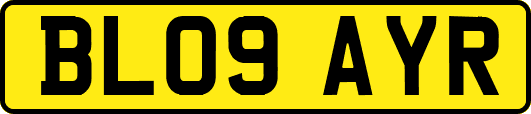 BL09AYR