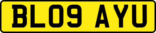 BL09AYU
