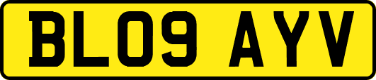 BL09AYV