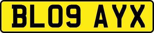 BL09AYX