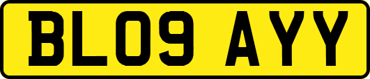 BL09AYY