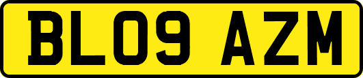 BL09AZM