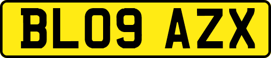 BL09AZX