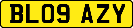 BL09AZY