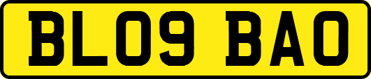 BL09BAO