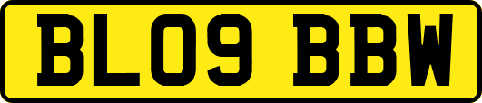BL09BBW