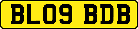 BL09BDB