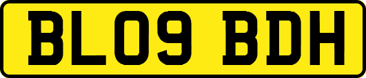 BL09BDH