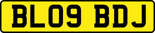 BL09BDJ
