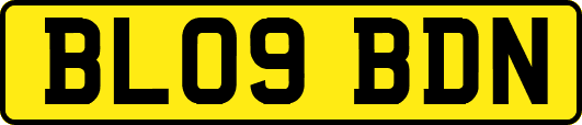 BL09BDN