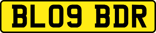 BL09BDR