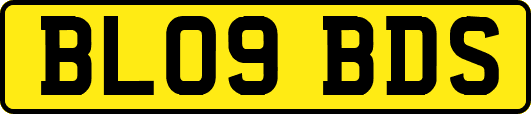 BL09BDS