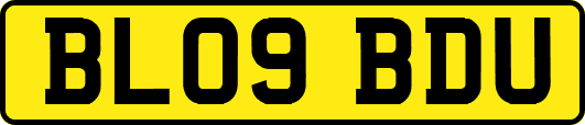 BL09BDU