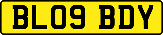 BL09BDY