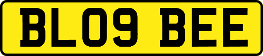 BL09BEE