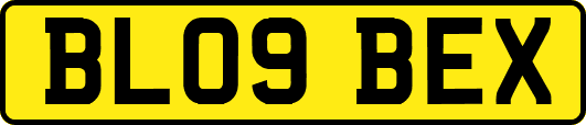 BL09BEX