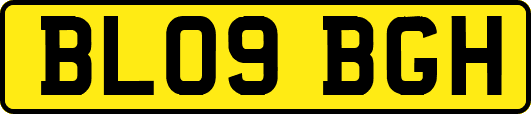 BL09BGH