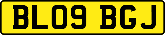 BL09BGJ
