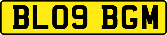 BL09BGM
