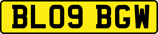 BL09BGW