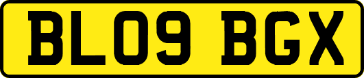 BL09BGX