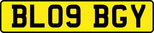 BL09BGY