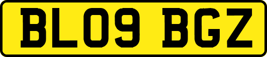 BL09BGZ