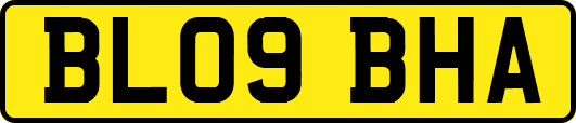BL09BHA