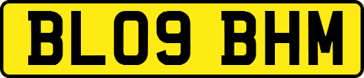 BL09BHM