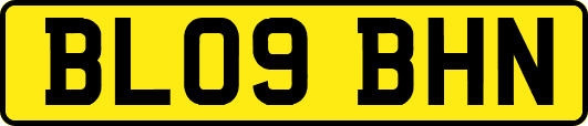 BL09BHN