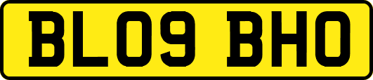 BL09BHO