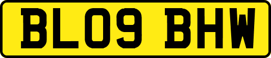 BL09BHW