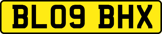 BL09BHX