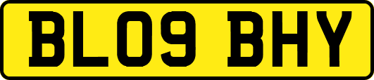 BL09BHY