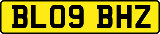 BL09BHZ