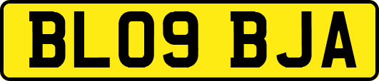 BL09BJA