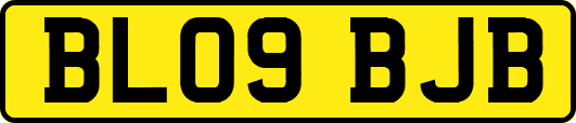 BL09BJB
