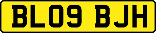 BL09BJH